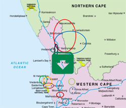 Click to Download PDF: West Coast Liquor Stores, Northern Cape Liquor Stores Western Cape - get quality liquor near you with service of the highest quality